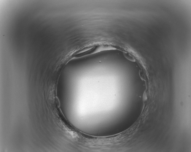 X0000058800009200510071714