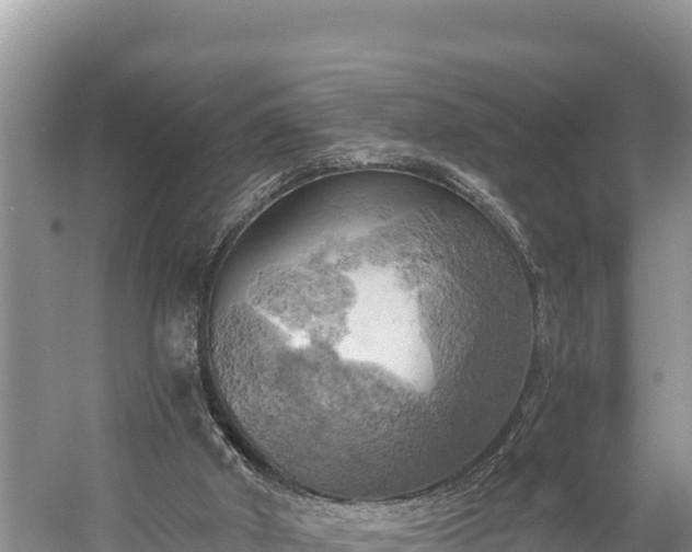 X0000058800010200510071714