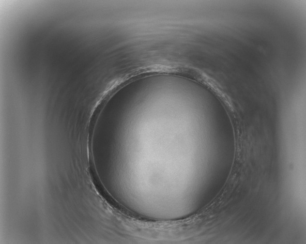 X0000058800011200510071714