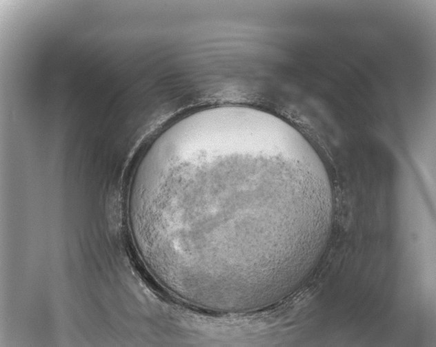 X0000058800012200510071714