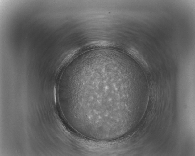 X0000058800014200510071714