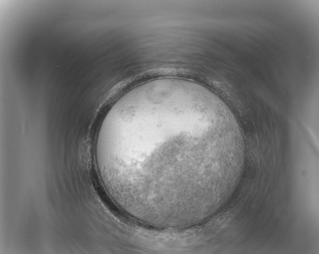 X0000058800016200510071714