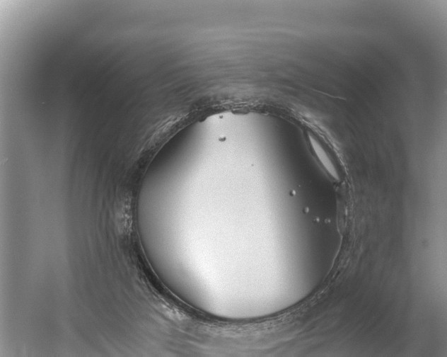 X0000058800017200510071714