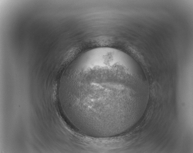 X0000058800018200510071714