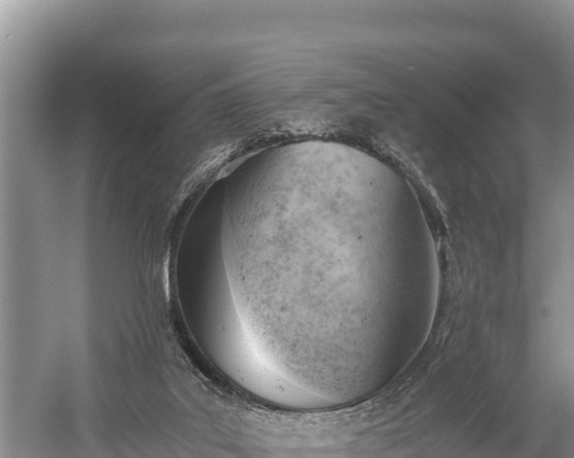 X0000058800019200510071714