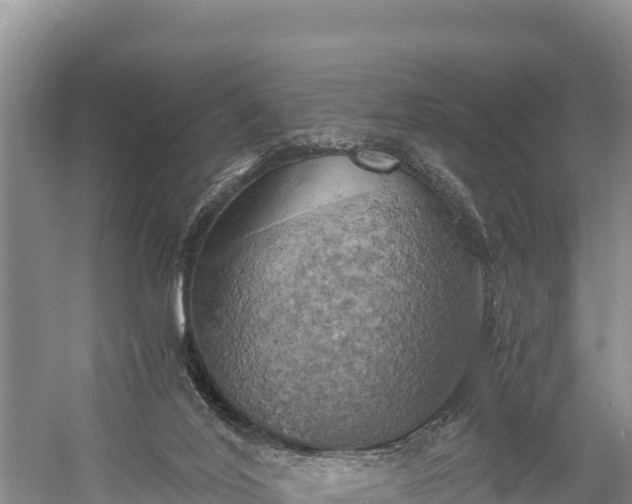 X0000058800020200510071714