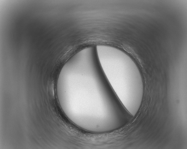 X0000058800021200510071714