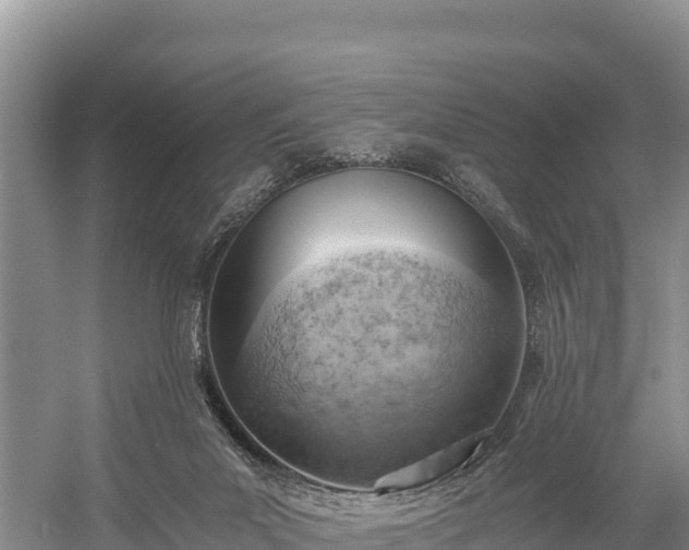 X0000058800023200510071714