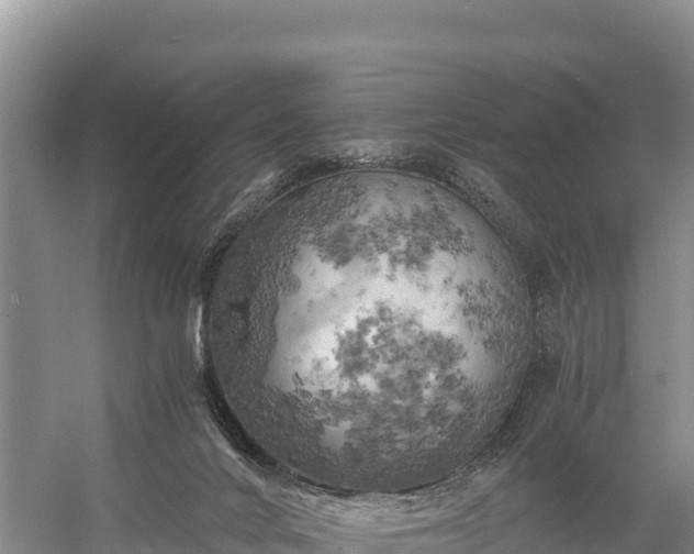 X0000058800024200510071714