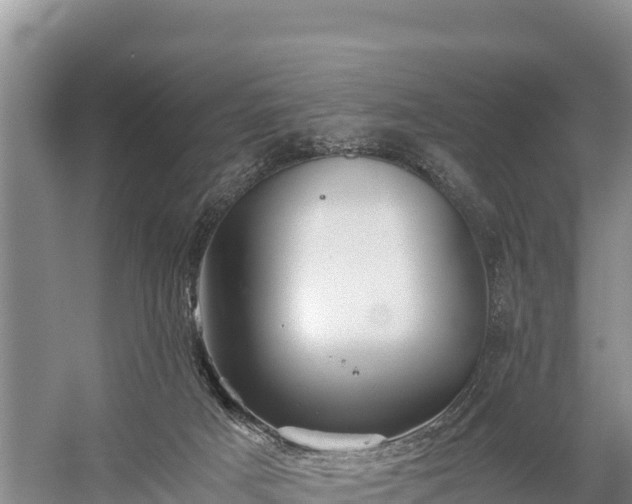 X0000058800025200510071714