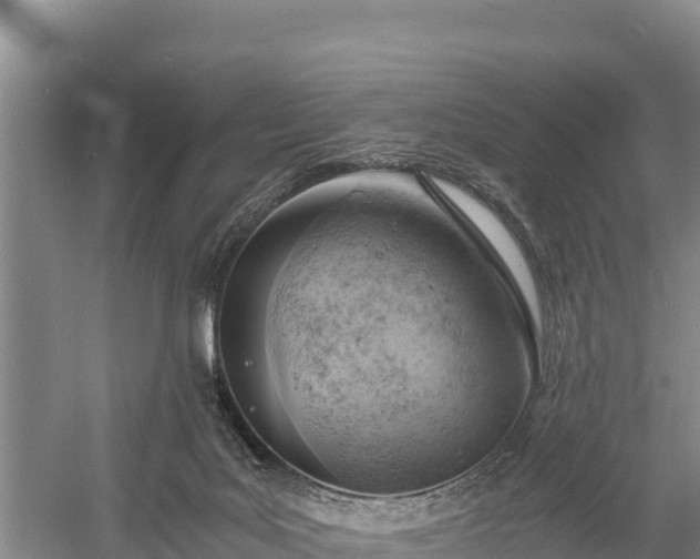 X0000058800027200510071713