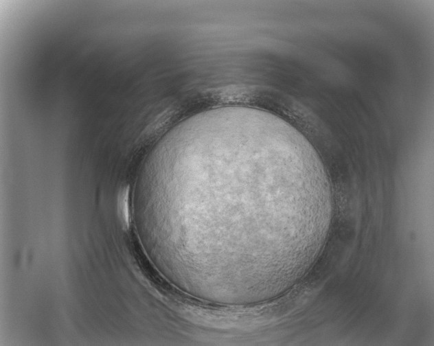 X0000058800028200510071713