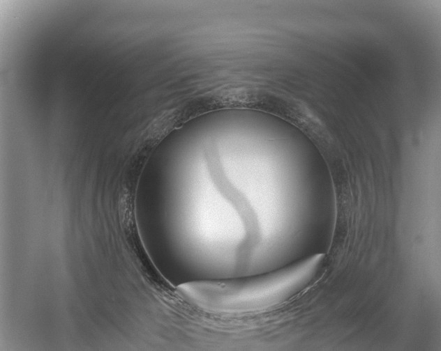 X0000058800029200510071713