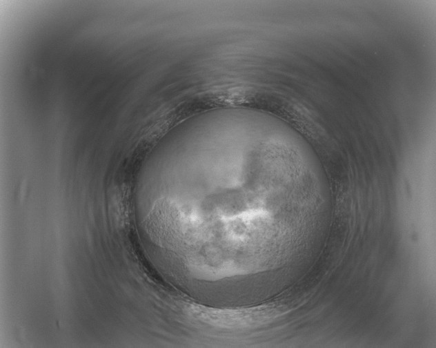 X0000058800030200510071713