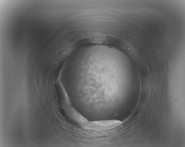 X0000058800031200510071713