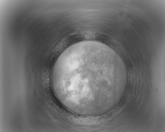 X0000058800032200510071713