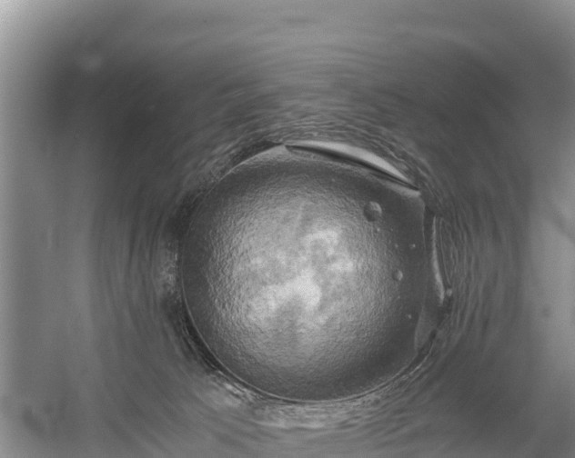 X0000058800033200510071713