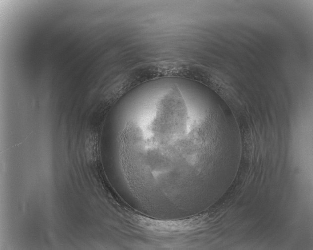 X0000058800034200510071713