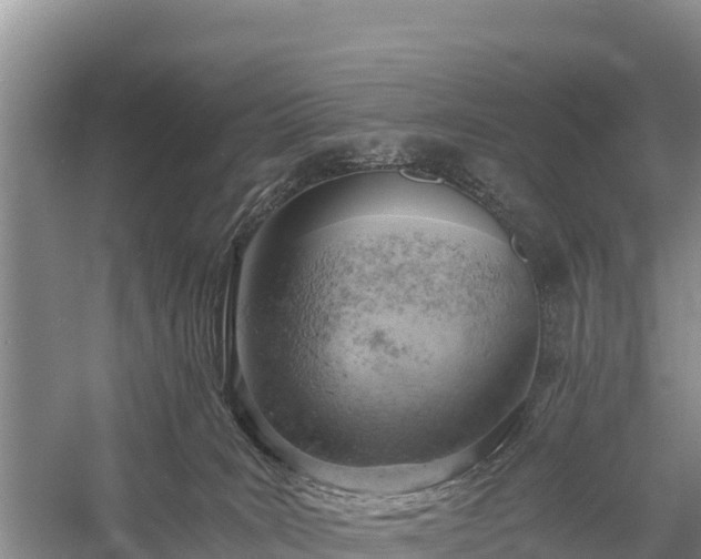 X0000058800035200510071713