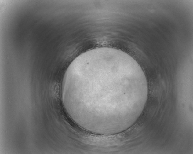 X0000058800036200510071713