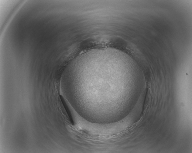 X0000058800037200510071713