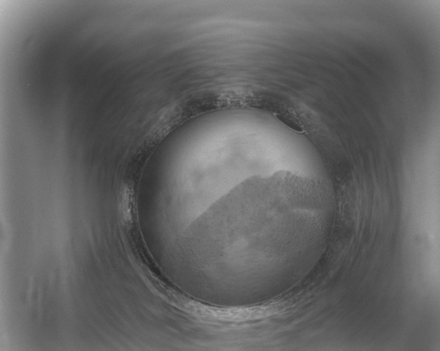 X0000058800038200510071713