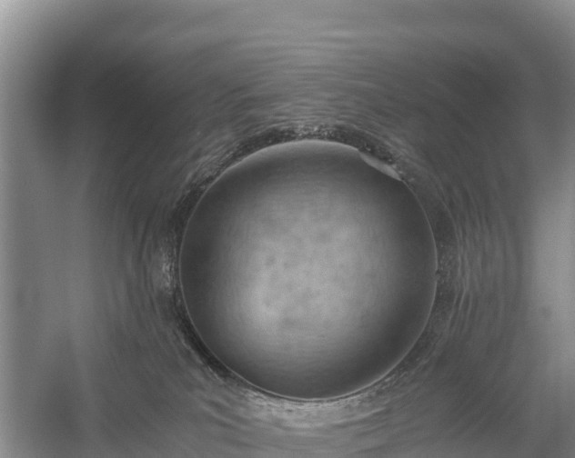 X0000058800039200510071713