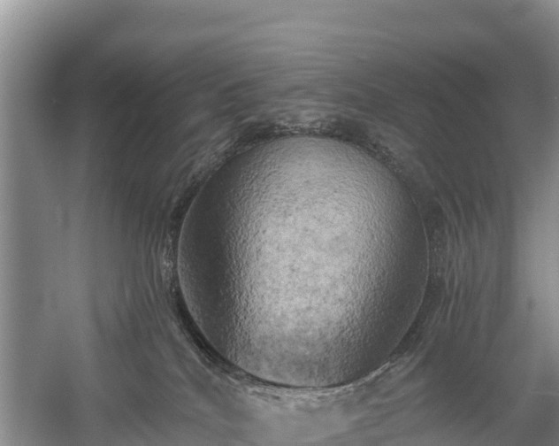 X0000058800040200510071713