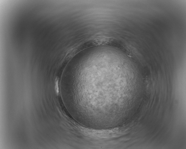 X0000058800042200510071713