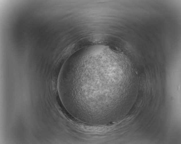 X0000058800044200510071713