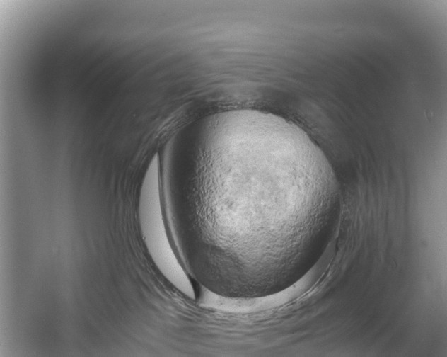 X0000058800045200510071713