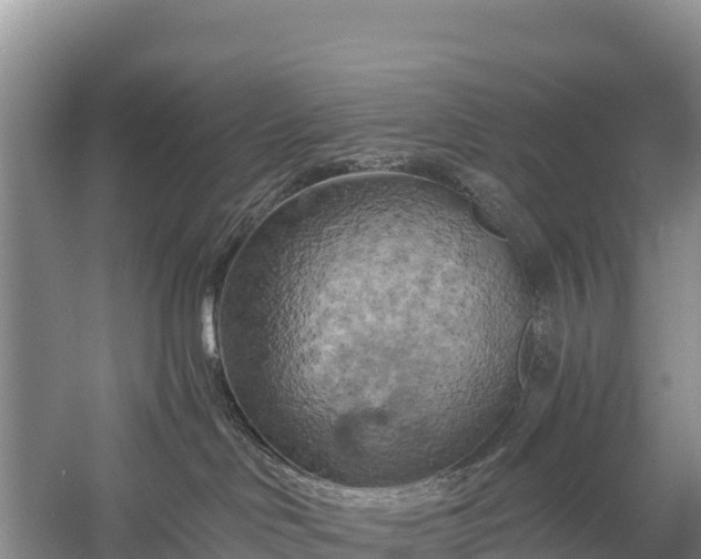 X0000058800046200510071713