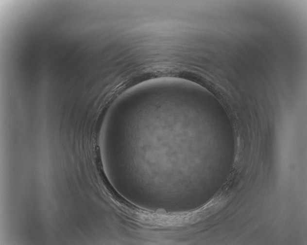 X0000058800048200510071713