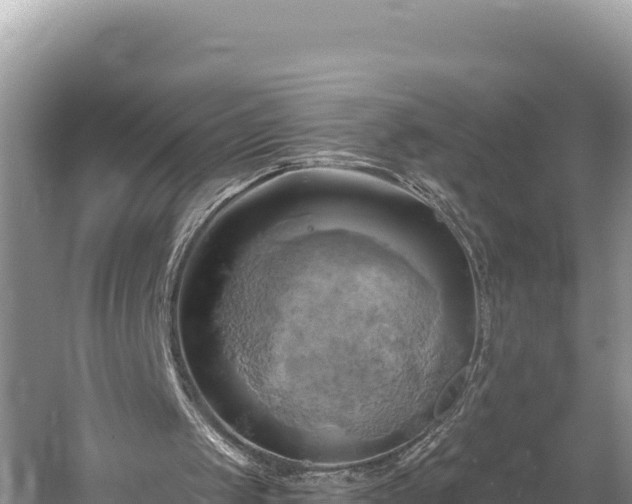 X0000058800049200510071712