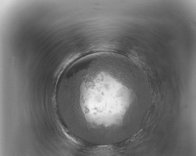 X0000058800050200510071712