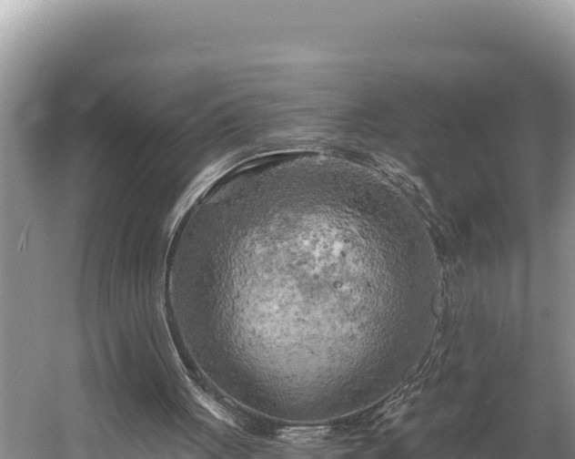 X0000058800051200510071712