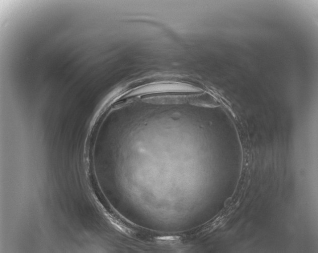 X0000058800053200510071712