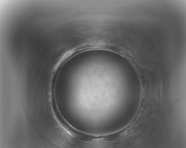 X0000058800054200510071712