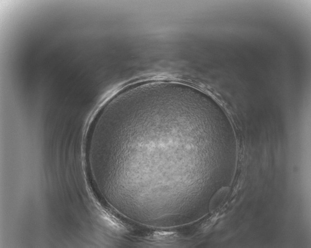 X0000058800055200510071712