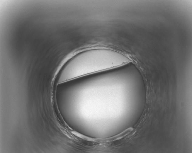 X0000058800056200510071712