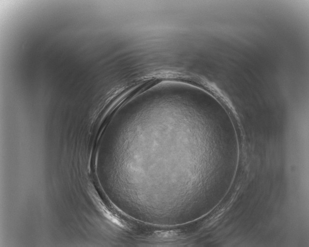 X0000058800057200510071712