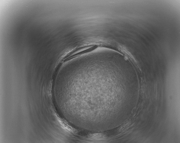 X0000058800058200510071712