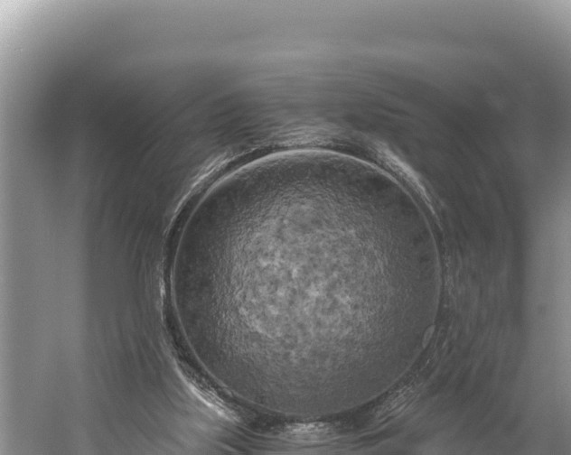 X0000058800059200510071712