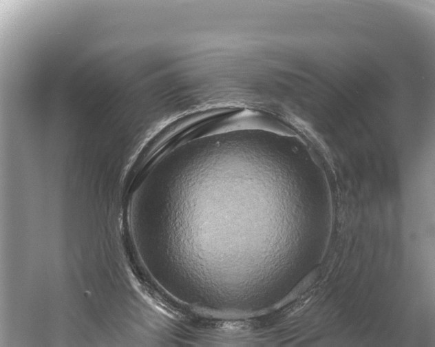 X0000058800060200510071712