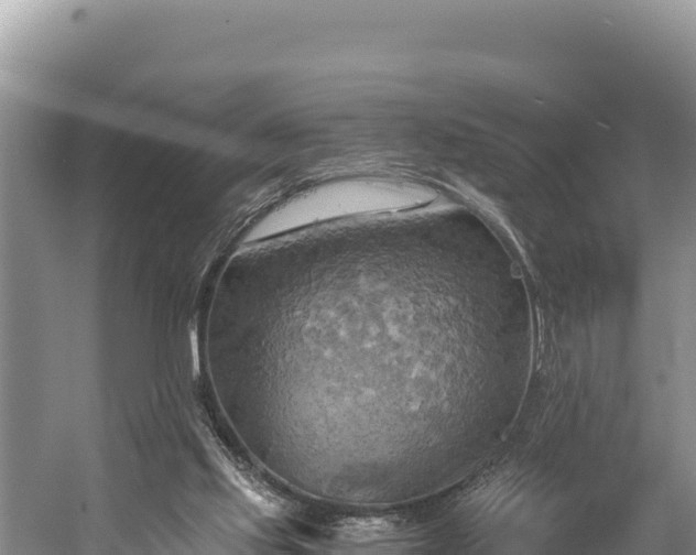 X0000058800061200510071713