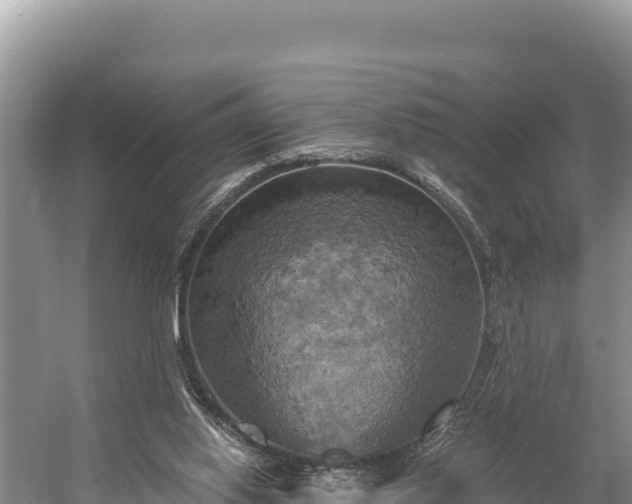 X0000058800062200510071713