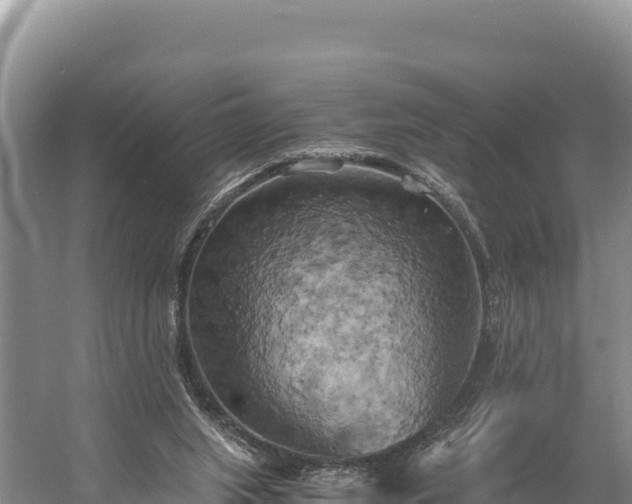 X0000058800063200510071713