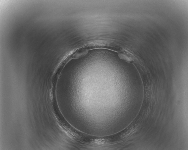 X0000058800064200510071713