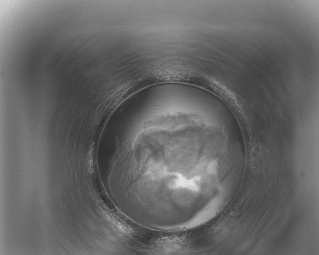 X0000058800065200510071713