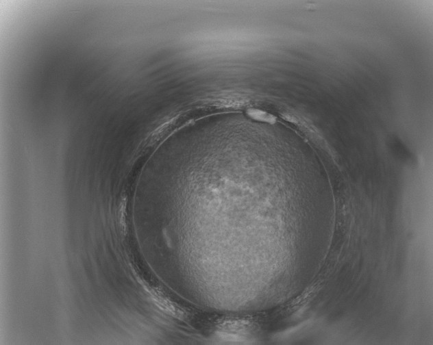 X0000058800066200510071713